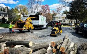 Best Tree Mulching  in Kilmarnock, VA