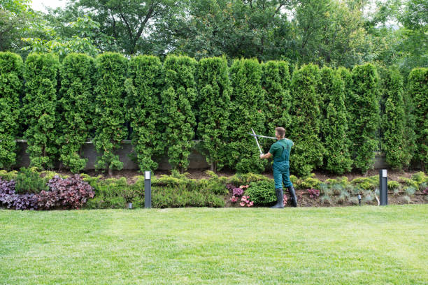 Best Lawn Pest Prevention  in Kilmarnock, VA